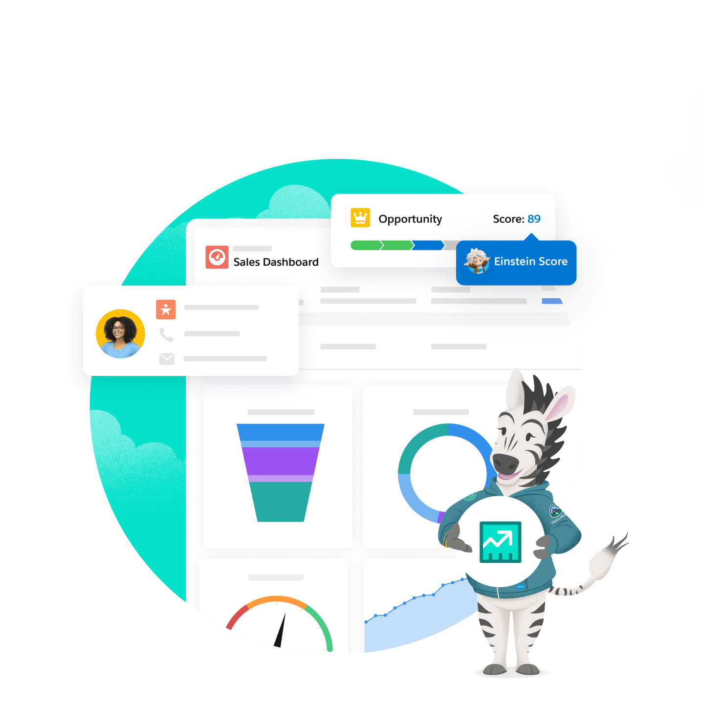 Salesforce Sales Cloud opportunity and account overview